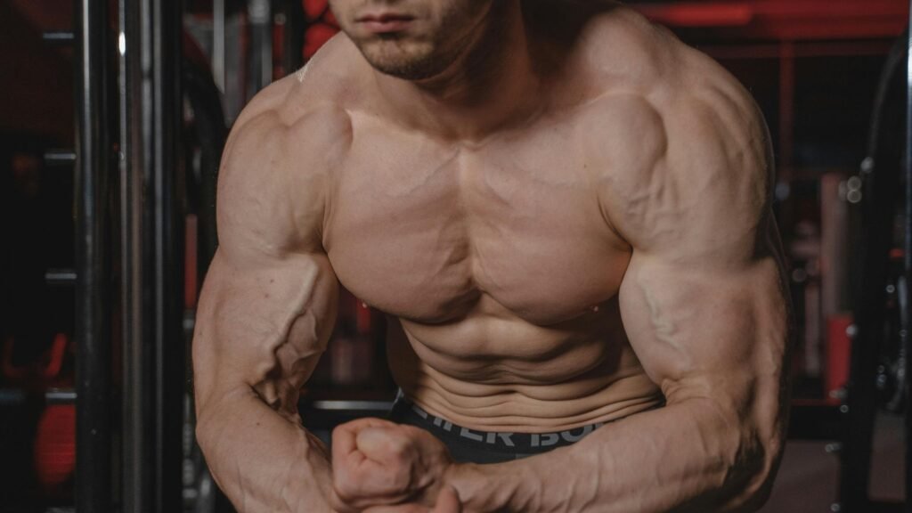 chest workout exercises