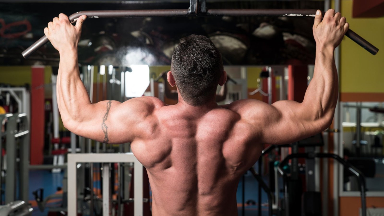 good back exercises