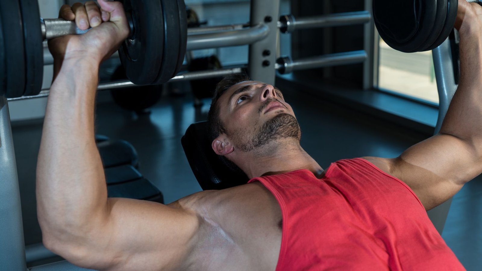chest workouts with dumbbells