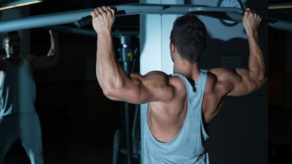 perfect back workout