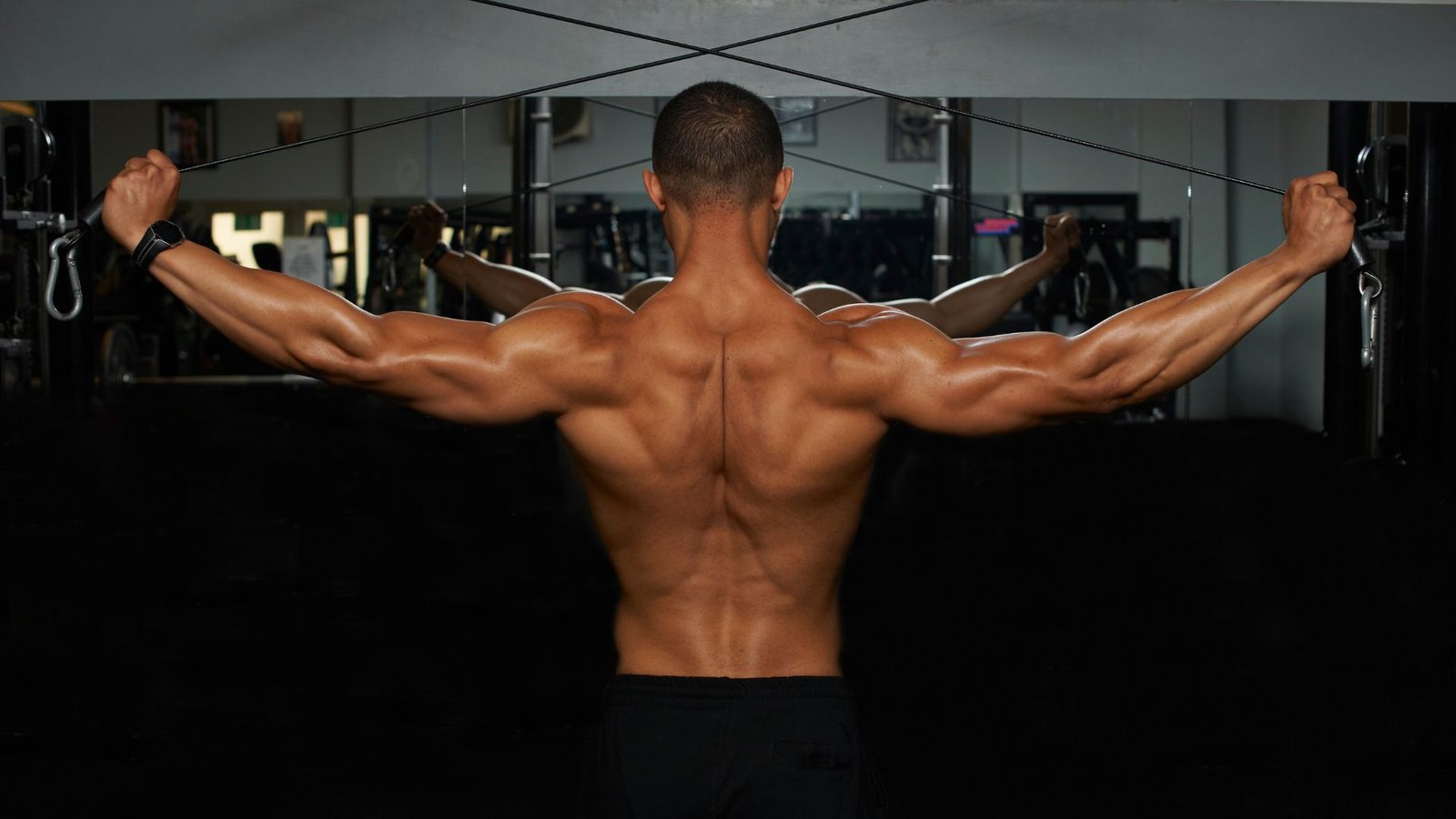 back and bicep routine