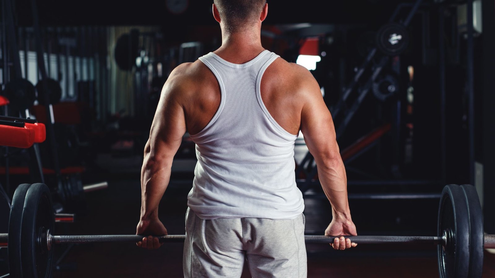 back and bicep routine